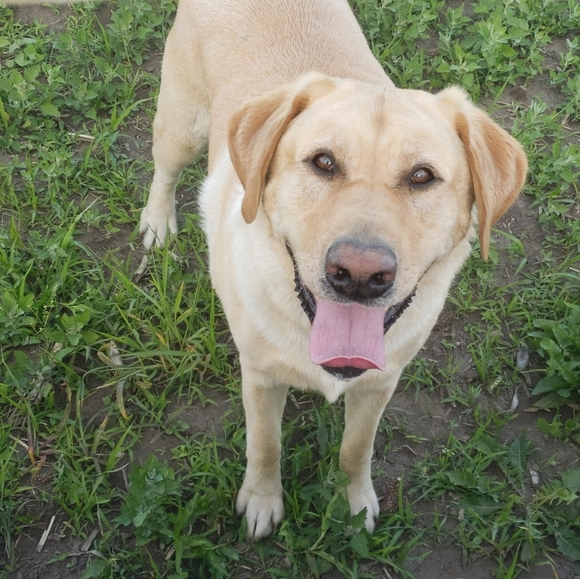 Meet your Posher, Heather - Picture 12 of 15